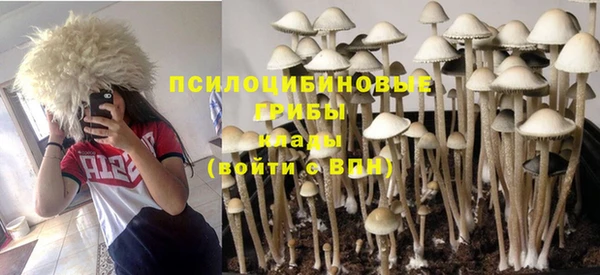 таблы Михайловка