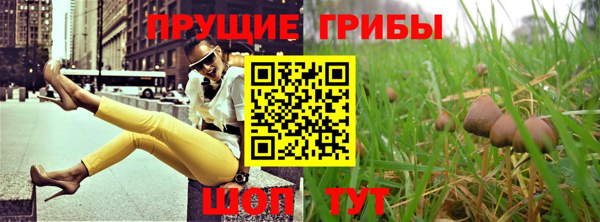 Галлюциногенные грибы Psilocybe  Вход с VPN  Моршанск  Галлюциногенные грибы Psilocybine cubensis 